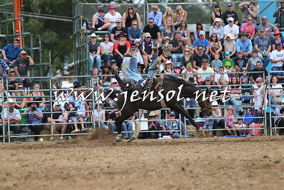 QueanbeyanRodeo2015_2925
