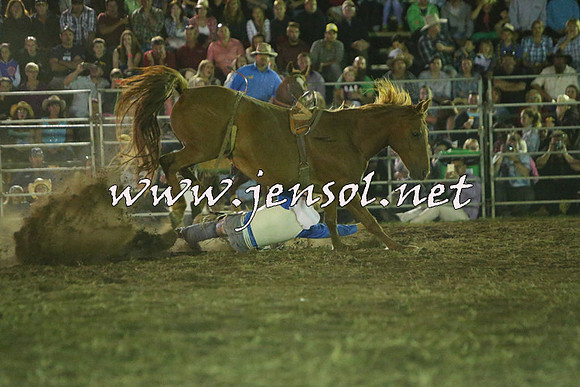 QueanbeyanRodeo2015_4539