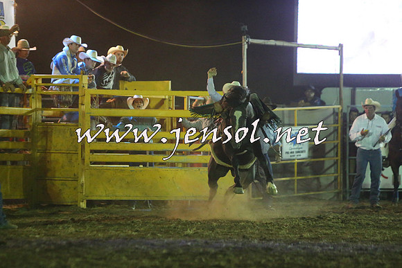 QueanbeyanRodeo2015_4491