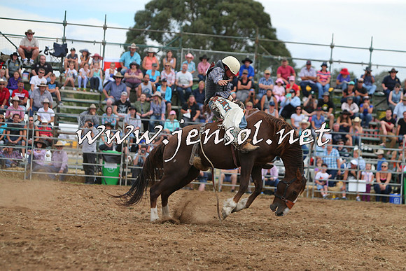 QueanbeyanRodeo2015_2971