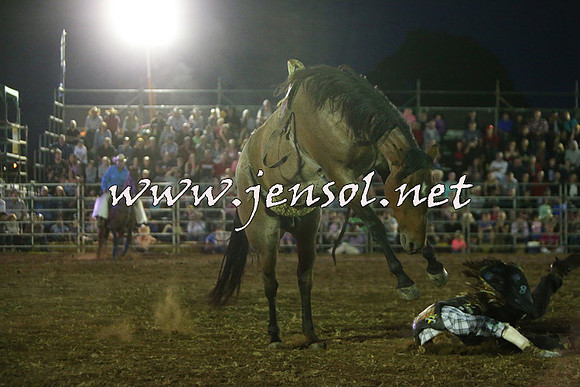 QueanbeyanRodeo2015_4356
