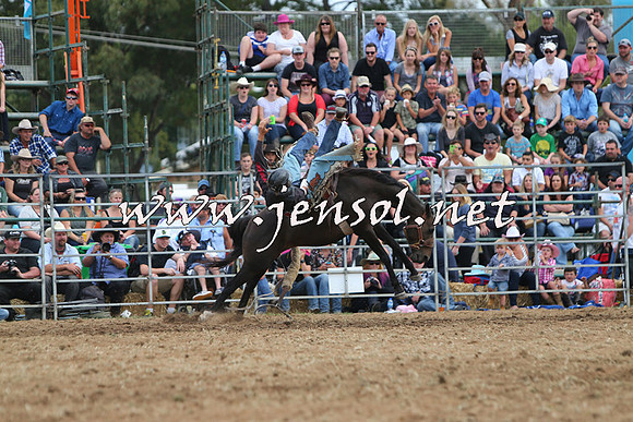 QueanbeyanRodeo2015_2928