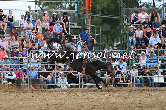 QueanbeyanRodeo2015_2931