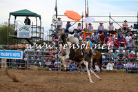 QueanbeyanRodeo2015_2871