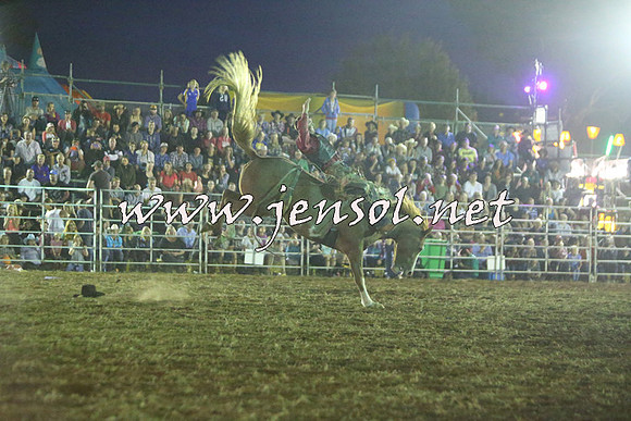 QueanbeyanRodeo2015_4405