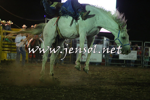 QueanbeyanRodeo2015_4940