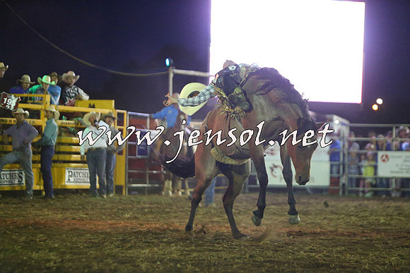 QueanbeyanRodeo2015_4365