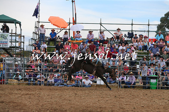 QueanbeyanRodeo2015_2919