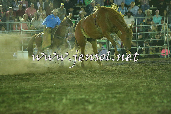 QueanbeyanRodeo2015_4542
