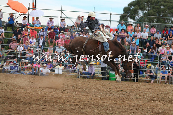 QueanbeyanRodeo2015_2947