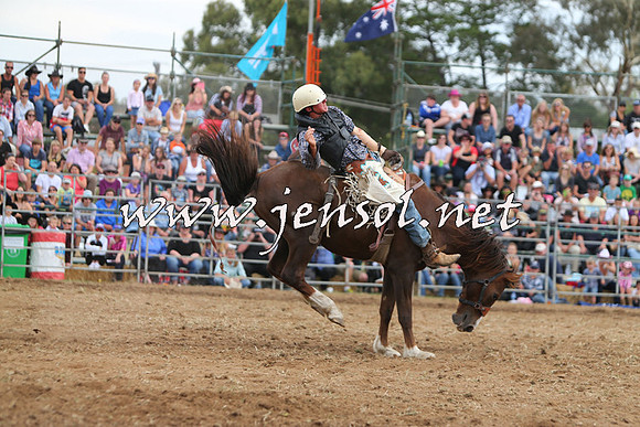 QueanbeyanRodeo2015_2966