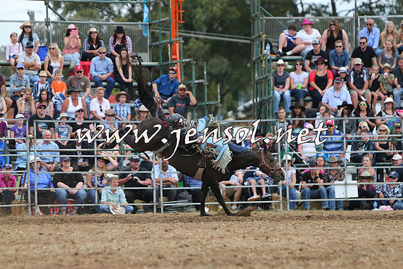 QueanbeyanRodeo2015_2932