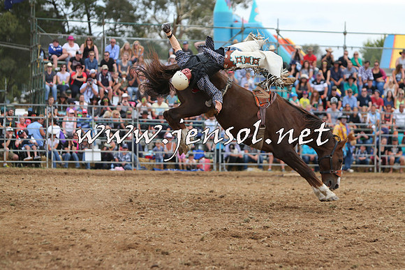 QueanbeyanRodeo2015_2965
