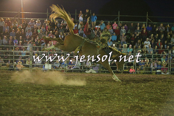 QueanbeyanRodeo2015_4372