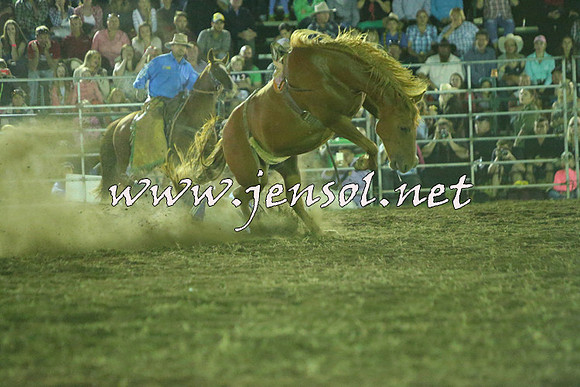 QueanbeyanRodeo2015_4538