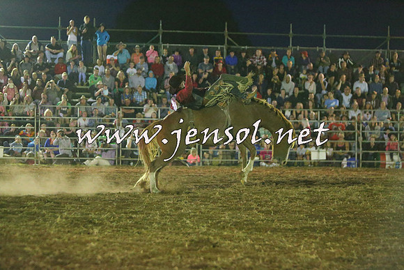 QueanbeyanRodeo2015_4389