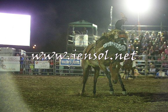 QueanbeyanRodeo2015_4355