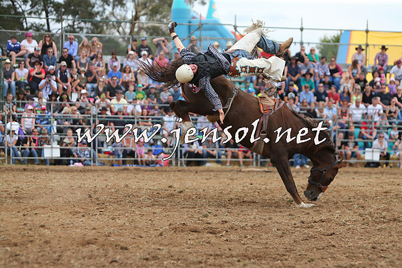 QueanbeyanRodeo2015_2963