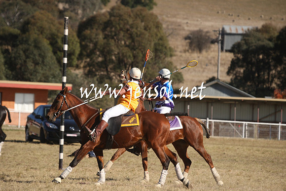 BungendorePolocrosse2013_Sun_0017