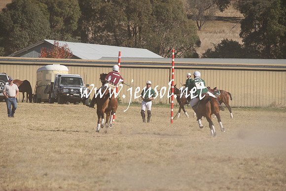 BungendorePolocrosse2013_Sun_0254