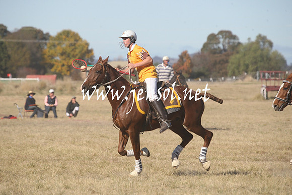 BungendorePolocrosse2013_Sun_0208