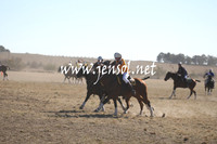 BungendorePolocrosse2013_Sun_0001
