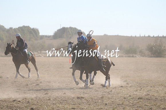 BungendorePolocrosse2013_Sun_0112