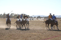 BungendorePolocrosse2013_Sun_0024
