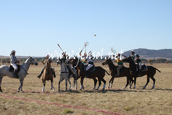 BungendorePolocrosse2013_Sun_0183
