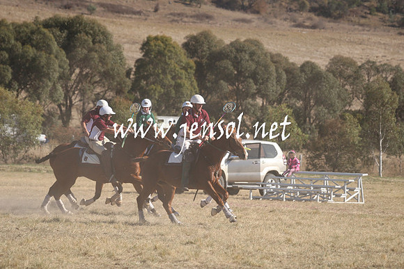 BungendorePolocrosse2013_Sun_0222