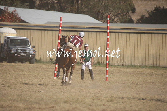 BungendorePolocrosse2013_Sun_0281