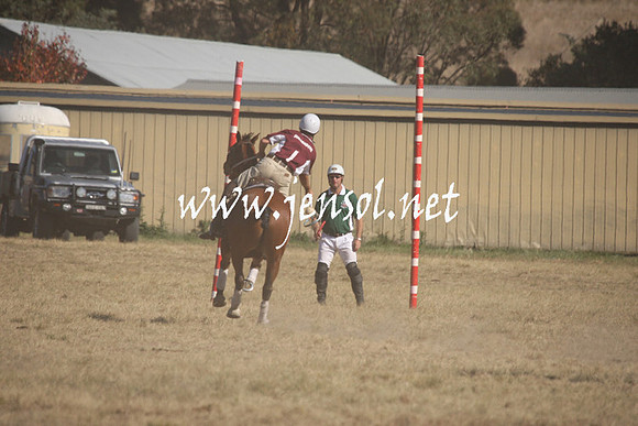 BungendorePolocrosse2013_Sun_0282