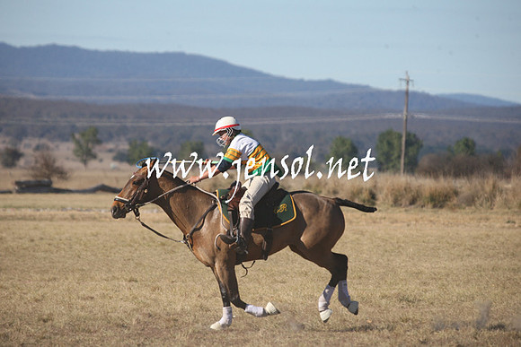 BungendorePolocrosse2013_Sun_0044