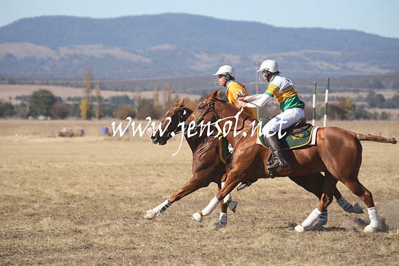 BungendorePolocrosse2013_Sun_0288