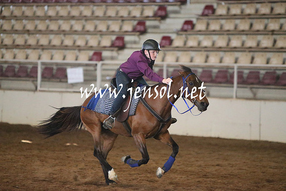 RealDealRodeoNov2013_0183