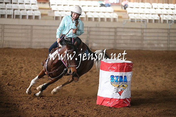 RealDealRodeoNov2013_0201