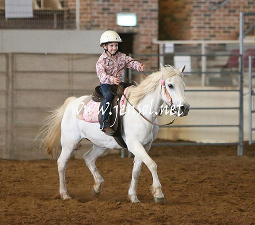 RealDealRodeoNov2013_0024