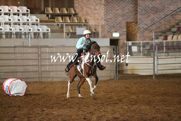 RealDealRodeoNov2013_0209