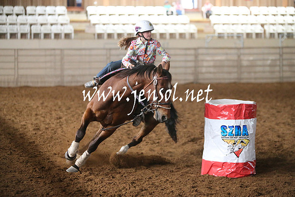RealDealRodeoNov2013_0065