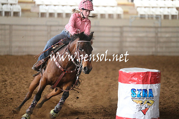 RealDealRodeoNov2013_0100