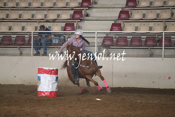 RealDealRodeoNov2013_0154