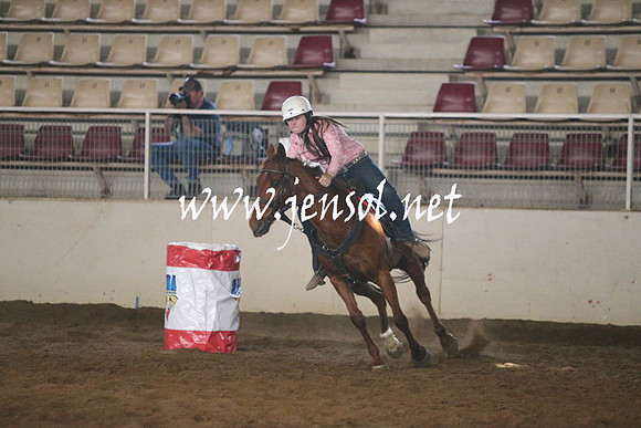 RealDealRodeoNov2013_0214