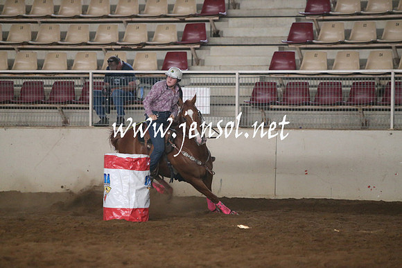 RealDealRodeoNov2013_0152