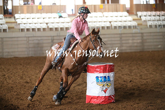 RealDealRodeoNov2013_0136