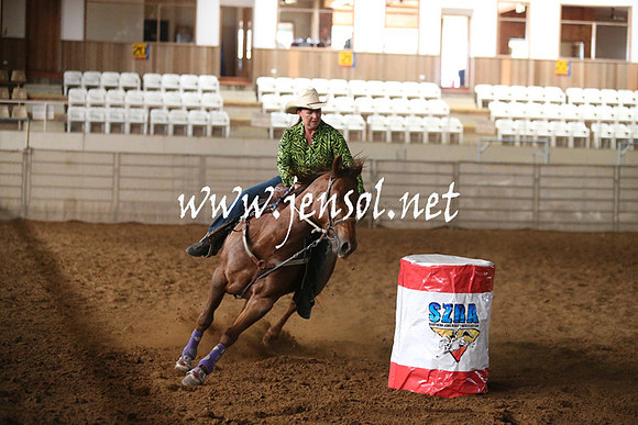 RealDealRodeoNov2013_0307