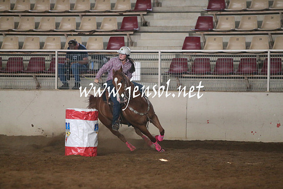 RealDealRodeoNov2013_0153