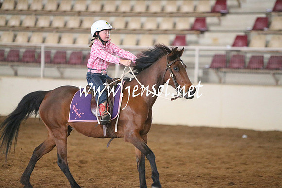 RealDealRodeoNov2013_0005