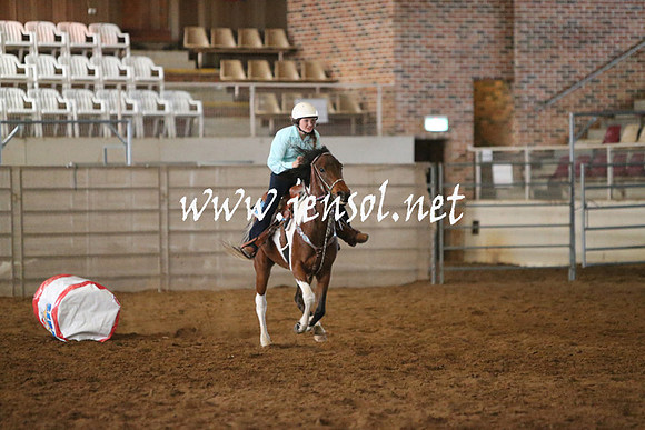 RealDealRodeoNov2013_0208