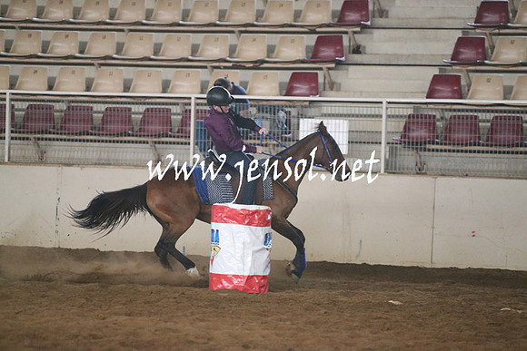 RealDealRodeoNov2013_0178