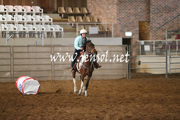 RealDealRodeoNov2013_0207